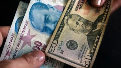 Dolar 16,92'yi gördü: Ekonomistler Türk lirasının değer kaybı hakkında neler söylüyor?