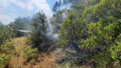 Manisa’da ormanlık alanlara girişler yasak