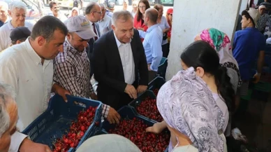 Manisalı kiraz üreticileri isyanda