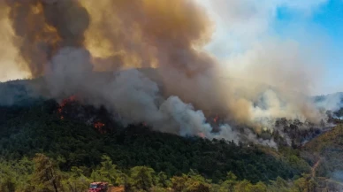 Marmaris'teki orman yangınını çıkaran kişi tutuklandı