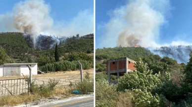 Aydın’da orman yangını çıktı