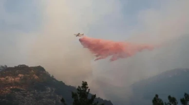 Çeşme yangınıyla ilgili gözaltına alınan diğer 2 kişi de serbest bırakıldı