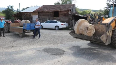 250 yıllık sütunlar villanın bahçesinde bulunmuştu: Altınkılıç Ailesi'nden açıklama geldi