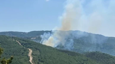 Çanakkale’de çıkan orman yangını kontrol altına alındı