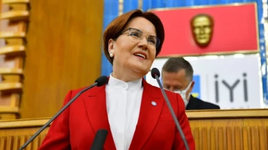 Meral Akşener bir köpek tarafından ısırıldı