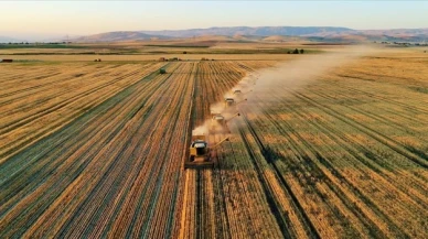 Tarımsal girdi fiyat endeksinde yüzde 123,7 artış