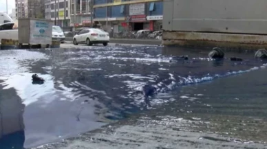 İSKİ'den 'mavi su' açıklaması: "Çok sayıda ponza taşı çıkartıldı"