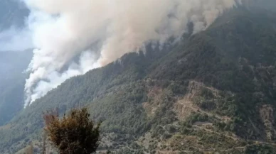 Osmaniye'deki orman yangını dördüncü günde kontrol altına alındı