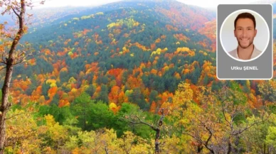 Utku Şenel yazdı: “Kaz” dağları