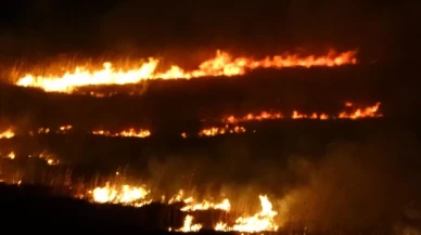 Birçok kuş türüne ev sahipliği yapan sazlık 4 gündür yanıyor