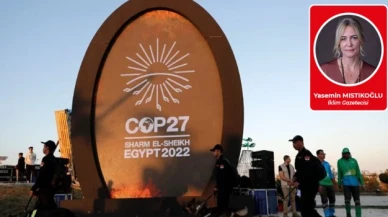 Türkiye COP27'den ödülle dönüyor