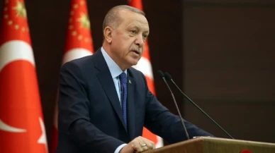 Erdoğan'dan, hayvan barınağındaki vahşete ilişkin açıklama