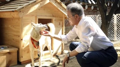 Kim Jong-Un tarafından hediye edilen köpek Güney Kore'de kriz yarattı!