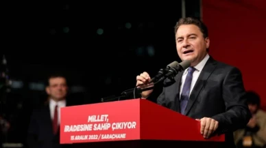 Ali Babacan: Endişeye mahal yok, zorbalık dönemini sona erdireceğiz