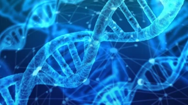 Grönland'da 2 milyon yıllık DNA örneğine rastlandı