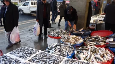 Hamsi sezonun en yüksek fiyatını gördü