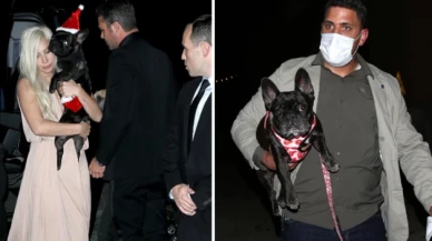 Lady Gaga'nın köpeklerini kaçıran ve gezdiren kişiyi vuran saldırgana 21 yıl hapis cezası