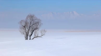 Çin'in kuzeyindeki Mohe'de sıfırın altında 53 derece görüldü