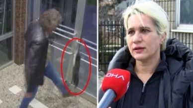 Kedi düşmanının komşusu konuştu: 'Köpeğim var ama kedilerden tiksiniyorum' diyor