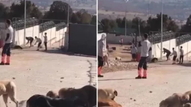 Konya barınağındaki köpek vahşetine 1 yıl 3 ay hapis cezası