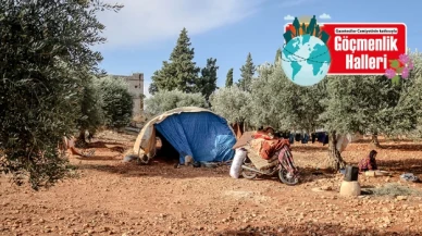 Türkiye'nin hayalet işçileri: Mevsimlik gezici tarımda göçmen işçiler