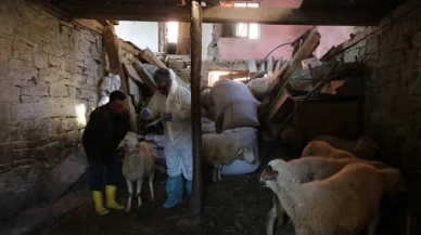 Zonguldak’ta 50 köy karantina altında