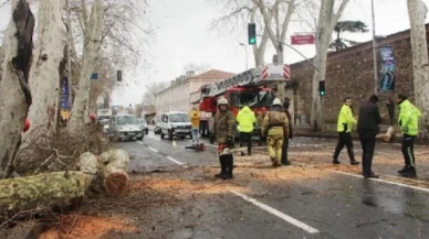 Beşiktaş'ta asırlık çınar ağacı yola devrildi: Yol trafiğe kapatıldı