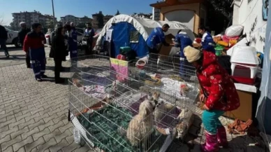 Enkazdan çıkarılan hayvanlar için sahra çadırı kuruldu