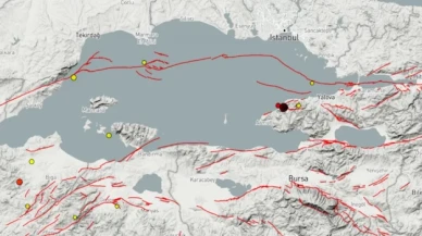 Prof. Dr. Yaltırak: Marmara'da tek fay yok, risk haritaları hatalı