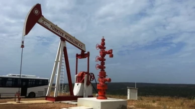 TPAO, 15 saha için petrol arama ruhsatı aldı