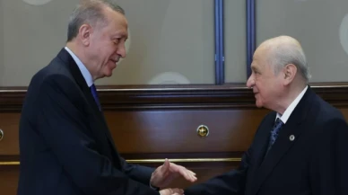 Erdoğan ve Bahçeli görüşmesinde neler konuşuldu?