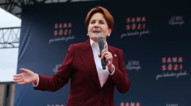 Akşener, Soylu'nun sözlerini anımsattı: Psikiyatristleri muayeneye davet ediyorum