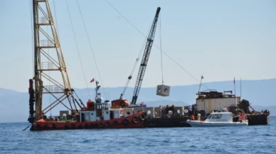 Denizlerde balık sayısı yapay yuvalarla artıyor