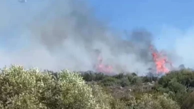 Çeşme'de çıkan orman yangınına karadan ve havadan müdahale ediliyor