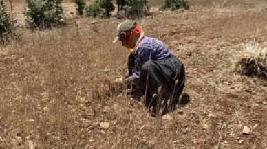 Mardin Milletvekillerinden Mardinli çiftçinin sorunlarına toplu önerge