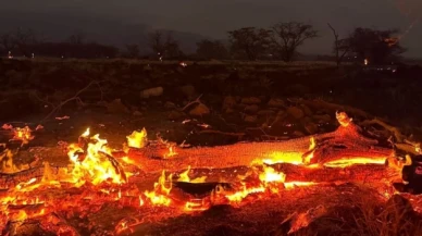 Hayatını kaybedenlerin sayısı her gün artıyor: Hawaii'deki orman yangınlarında son durum