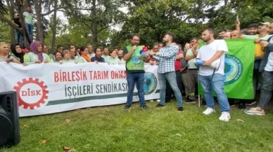 İBB bünyesindeki Ağaç A.Ş. işçilerinin direnişi olumlu sonuçlandı