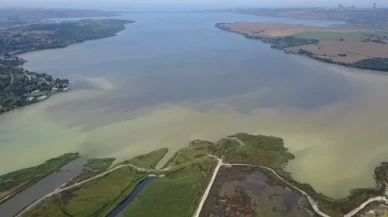 Küçükçekmece gölü tehlike saçıyor: Girilmemeli, balıkçılık yasaklanmalı!