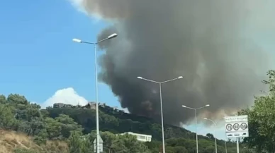 Maltepe'de orman yangını