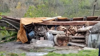 Sinop'ta şiddetli rüzgar ölüme neden oldu