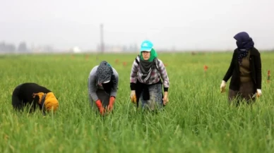 Son 10 yılda 1379 kadın işçi hayatını kaybetti