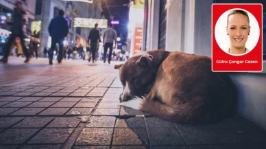 Habertürk sokak hayvanı dedi biz kutuplaştık