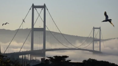 İstanbul Boğazı'nda gemi trafiği geçici olarak durduruldu