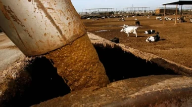 Gübre tankerine düşen iki işçi hayatını kaybetti