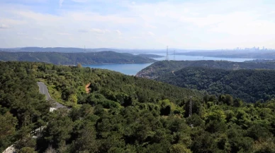 CHP’li Adem: “İstanbul'un akciğerleri yok ediliyor: Kuzey Ormanları rant uğruna kurban ediliyor”