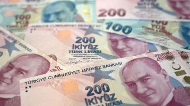 Hazine, 11,1 milyar lira borçlanmaya gitti