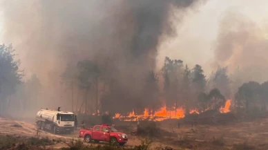 Aydın'daki yangına ilişkin gözaltına alınan üç kişi tutuklandı