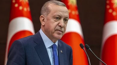 Erdoğan'ın ''cibiliyetsiz'' ve ''ev zencileri'' sözleri yargıya taşındı