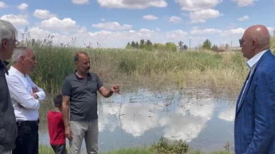 CHP’li Tanal'dan Suruç'taki taban suyu için Ombudsmanlık'a şikayet