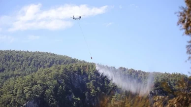 Muğla'da çıkan orman yangınına müdahale sürüyor